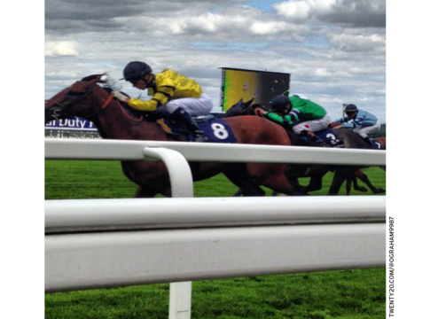 Horse race photograph